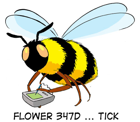 Flower 347D ... tick