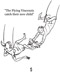 Flying Birth Flying Birth