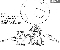 Little known escape plan using natural gas Little known escape plan using natural gas