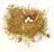 Nest